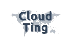 Logo2-cloudting-rg